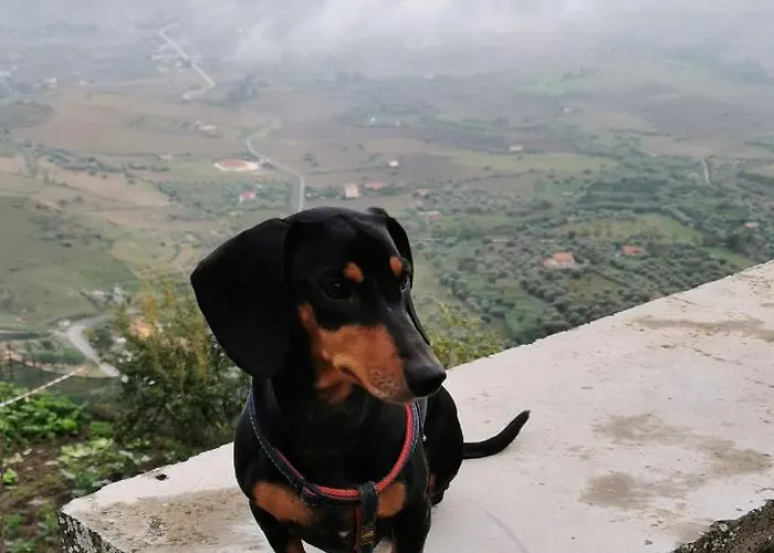 Da Carlotta